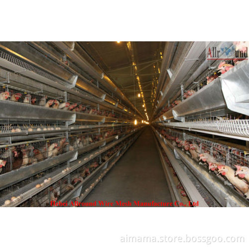 Automatic layer chicken cage for sale